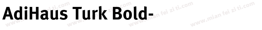 AdiHaus Turk Bold字体转换
